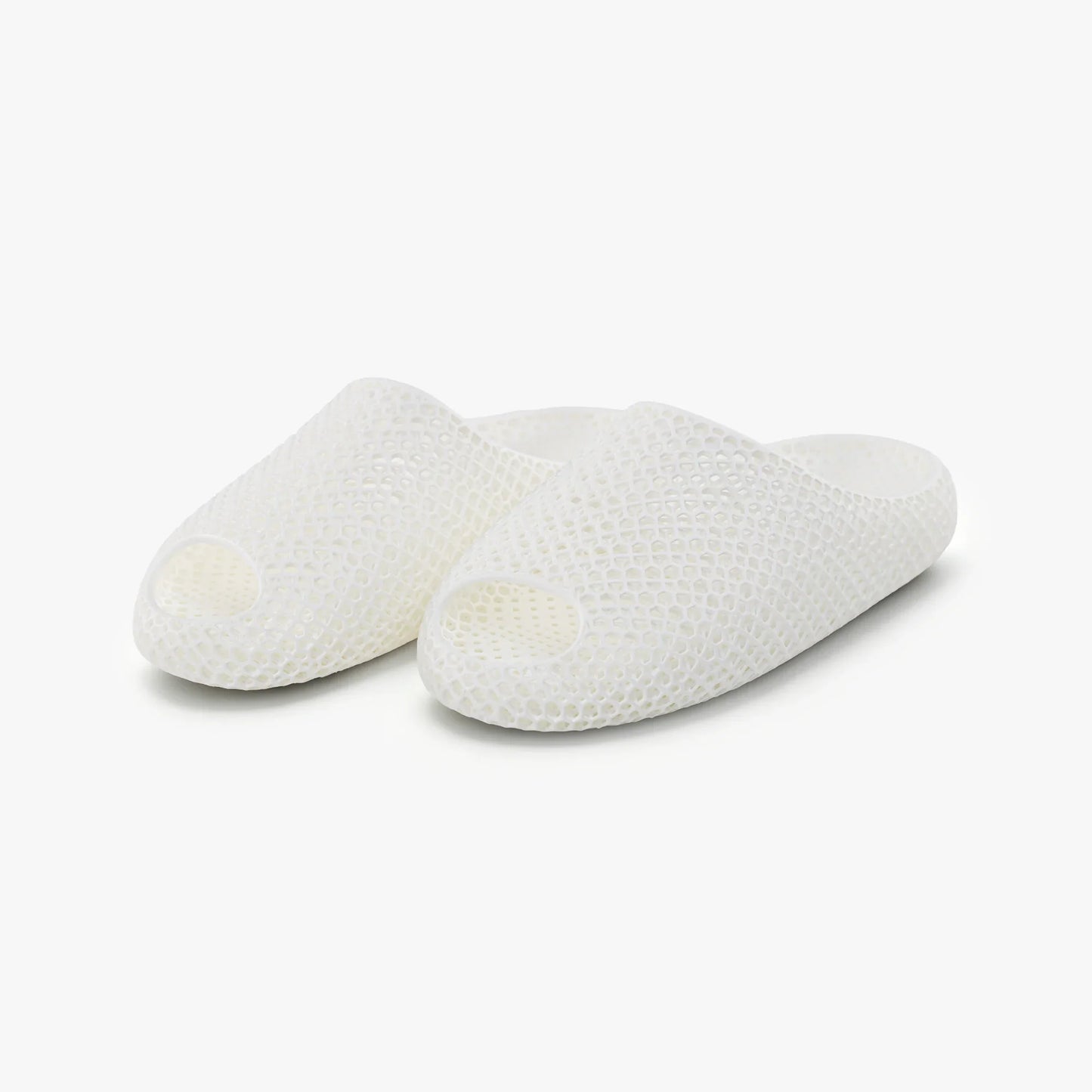 AeroCloud 3D Printed Slides